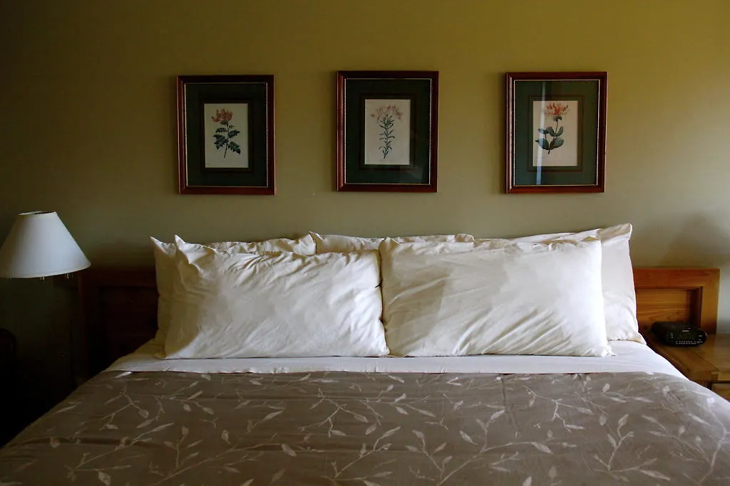Hotel Edgewater Lodge Vancouver